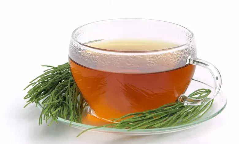 گیاه دم اسبی و خواص اعجاب آور آن