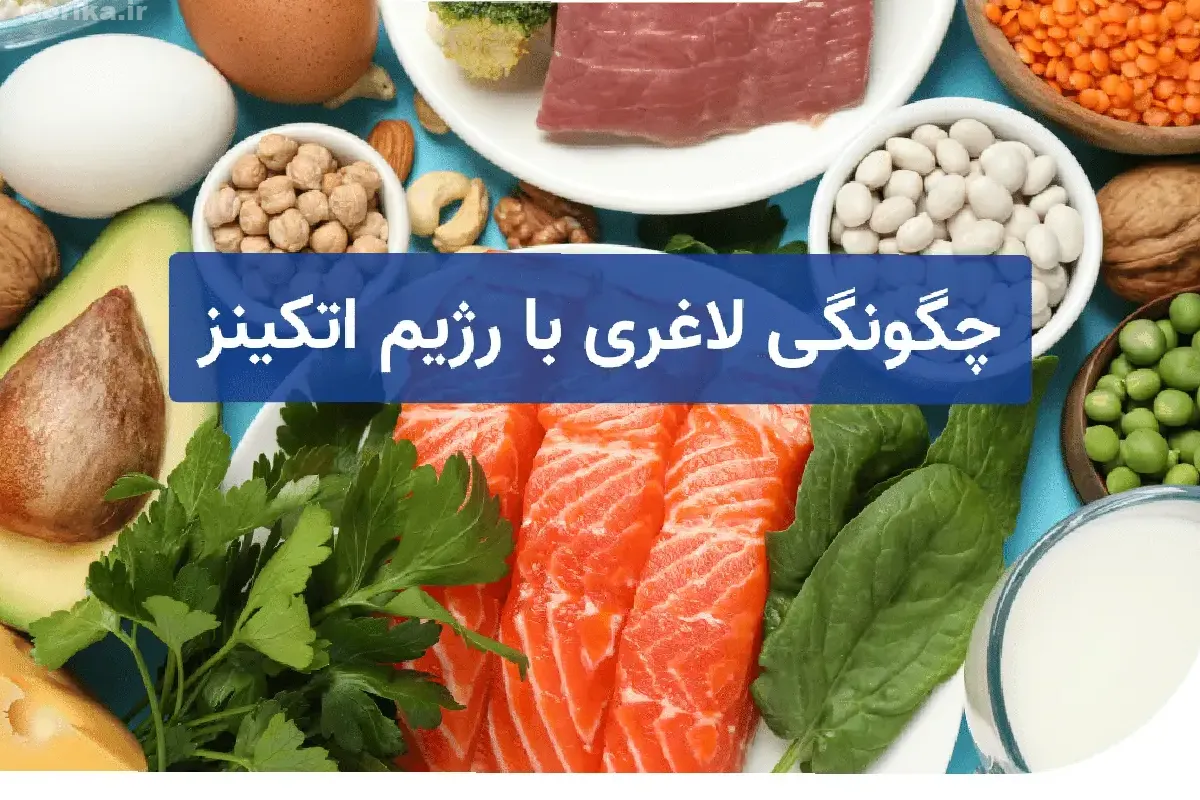 تاریخچه رژیم اتکینز 