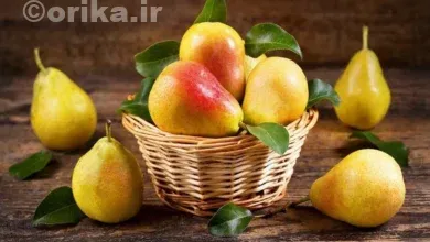 فواید و خواص ویژه گلابی برای سلامتی