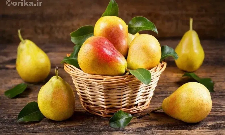 فواید و خواص ویژه گلابی برای سلامتی
