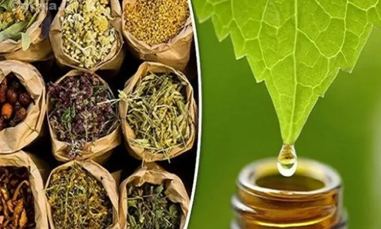 14 گیاه دارویی پرکاربرد در درمان بیماری‌های شایع