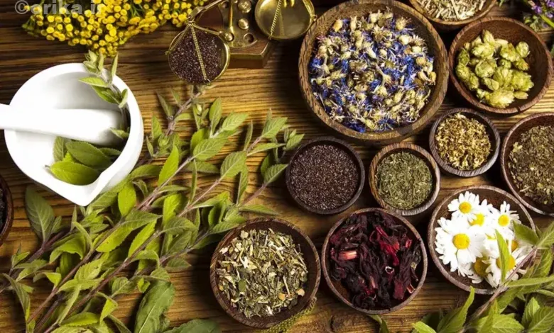 مزایا و معایب داروهای گیاهی چیست؟