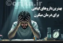 بهترین داروهای گیاهی برای درمان میگرن