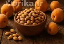 خواص هسته زردآلو