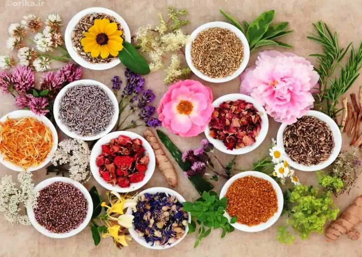 گیاهان مفید برای جوانسازی پوست