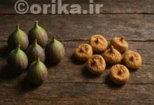 بهترین روش مصرف انجیر برای درمان یبوست