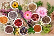 گیاهان مفید برای جوانسازی پوست