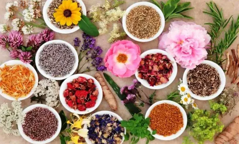 گیاهان مفید برای جوانسازی پوست