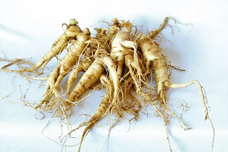 راهنمای خرید جینسینگ اصل از تقلبی