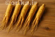 جینسینگ چیست؟