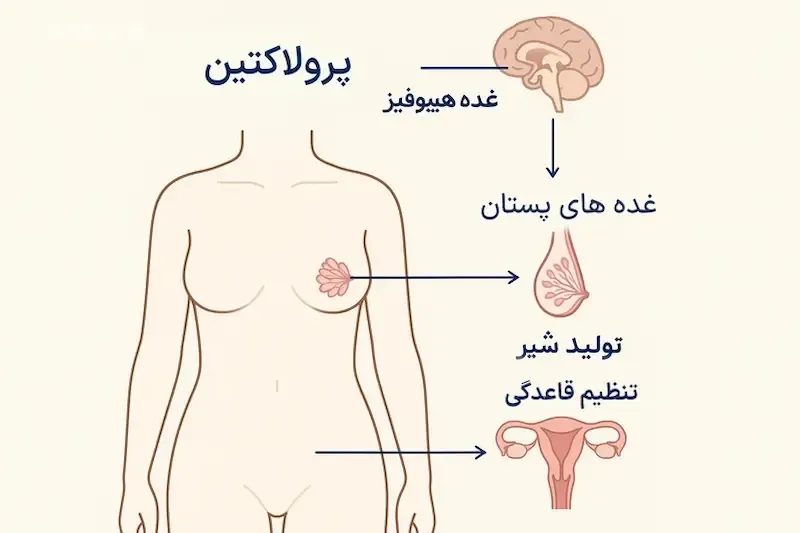 علل افزایش یا کاهش غیرطبیعی پرولاکتین