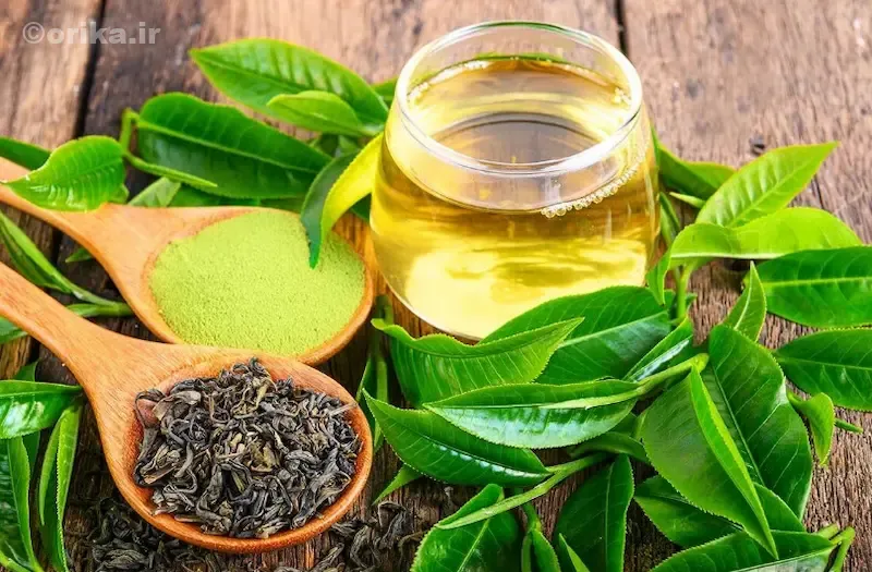 چای سبز و نقش EGCG در مهار DHT