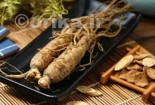 جنسینگ کره ای