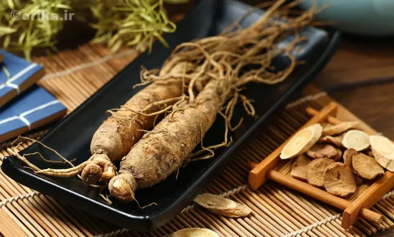 جنسینگ کره ای