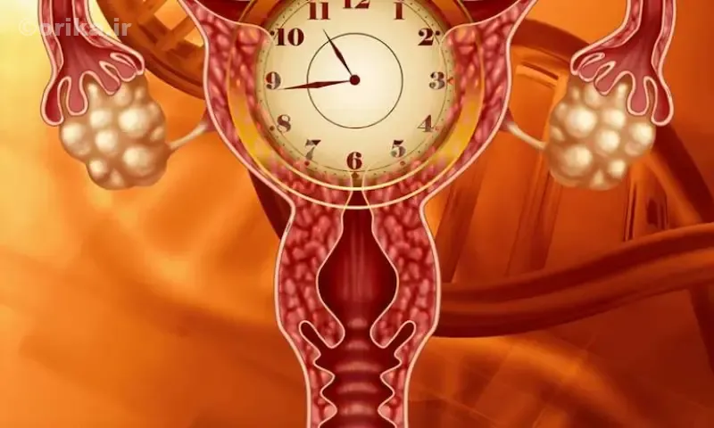 تأثیر تغذیه بر جلوگیری از یائسگی زودرس