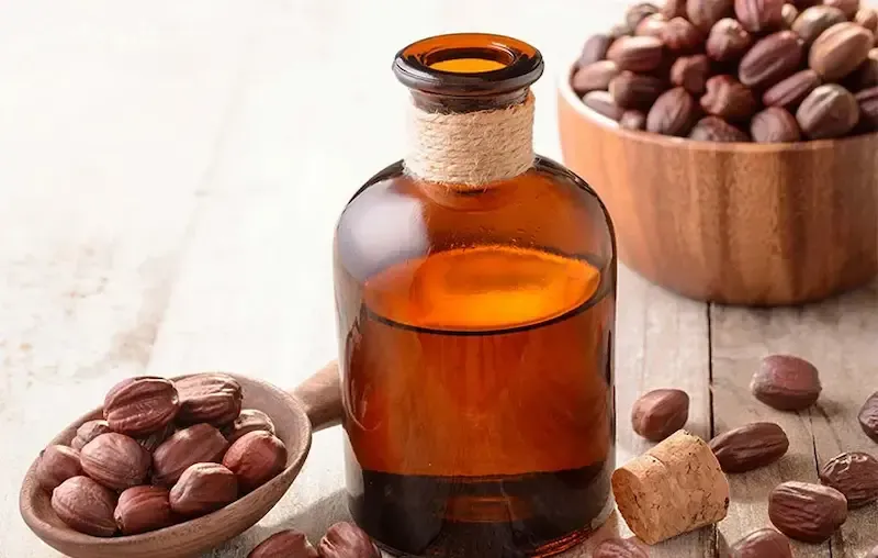 روغن جوجوبا چیست و چطور عمل می‌کند؟