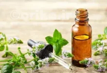 روغن نعناع چیست