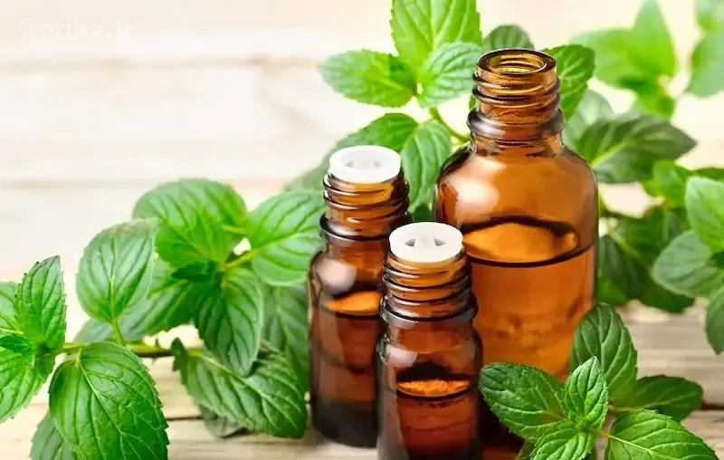 روغن نعناع چیست و چطور عمل می‌کند؟