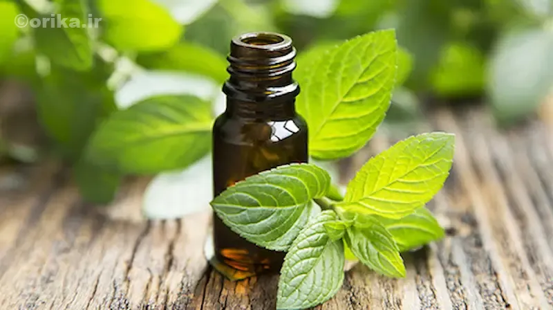 طرز تهیه روغن نعناع با روغن زیتون یا بادام شیرین