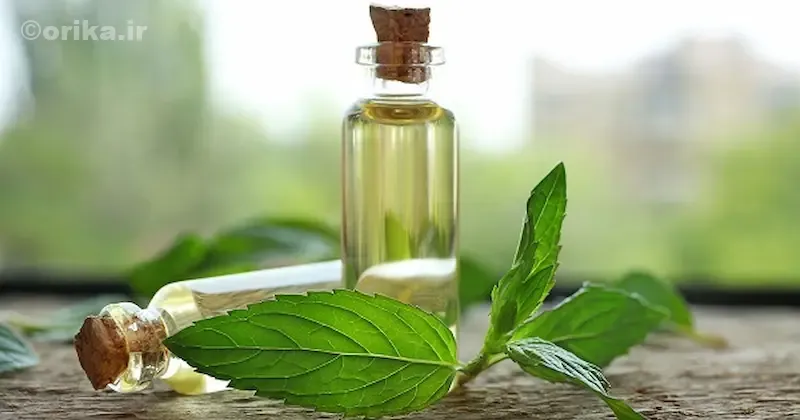 فواید روغن نعناع برای مو، پوست، معده و اعصاب