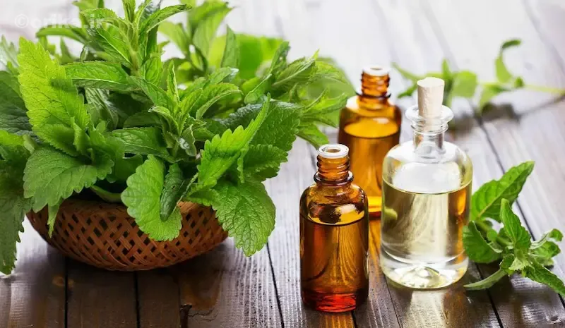 نحوه نگهداری صحیح روغن در ظروف مناسب و دمای استاندارد
