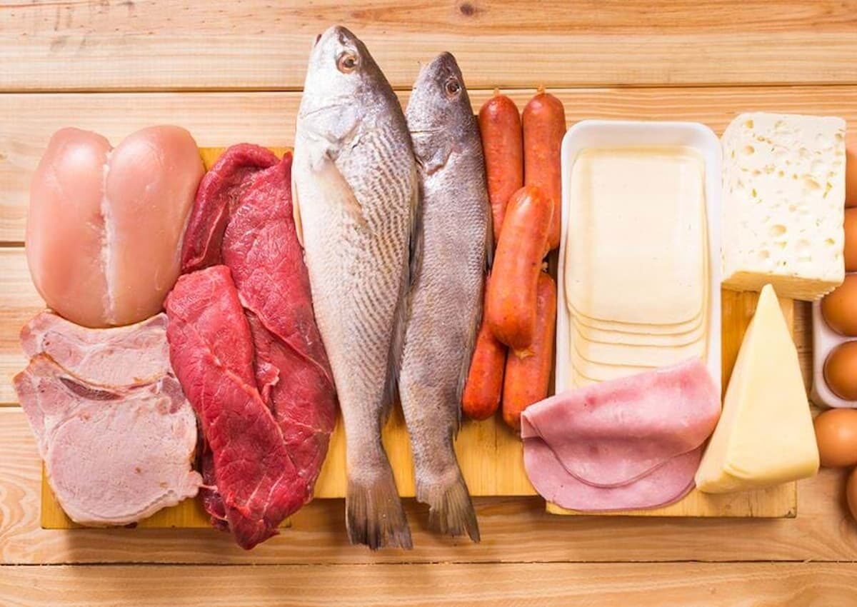 منابع پروتئین حیوانی