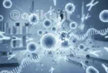 بیماری خودایمنی چیست؟