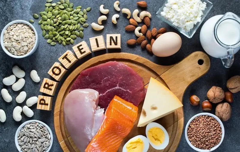 مقدار مصرف روزانه پروتئین حیوانی