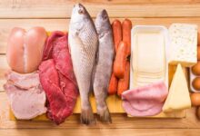 منابع پروتئین حیوانی