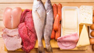 منابع پروتئین حیوانی