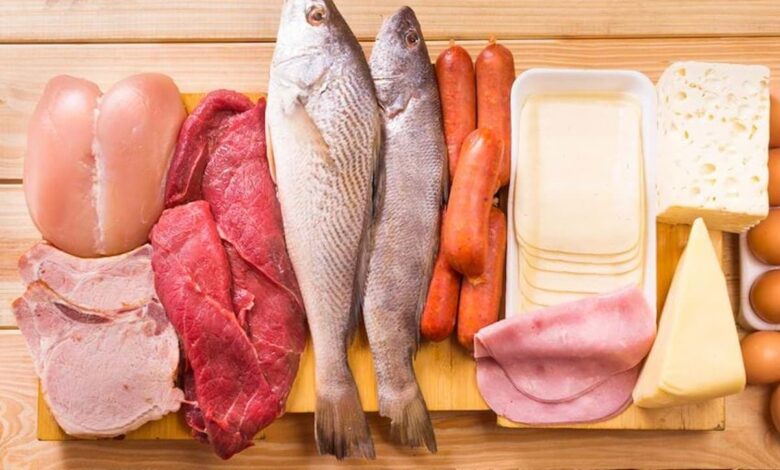 منابع پروتئین حیوانی