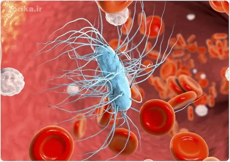 پیشگیری و بازتوانی پس از سپسیس