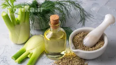 رازیانه گیاه دارویی