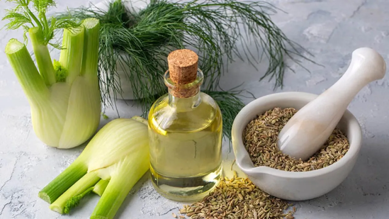 رازیانه گیاه دارویی