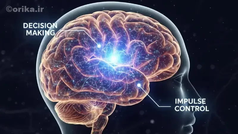بلوغ مغز چیست و چرا با بلوغ جسمی فرق دارد؟