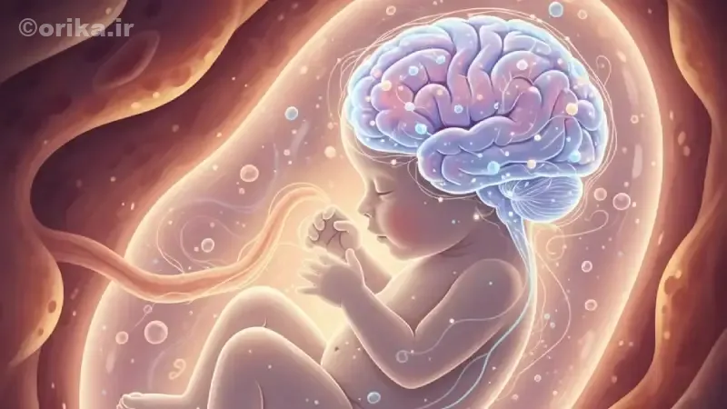 تفاوت سه‌ماهه‌های بارداری در مصرف دارو