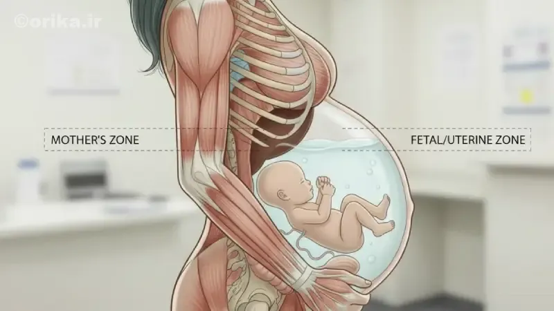 مقدار طبیعی مایع آمنیوتیک در دوران بارداری