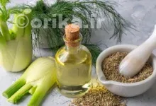 رازیانه گیاه دارویی