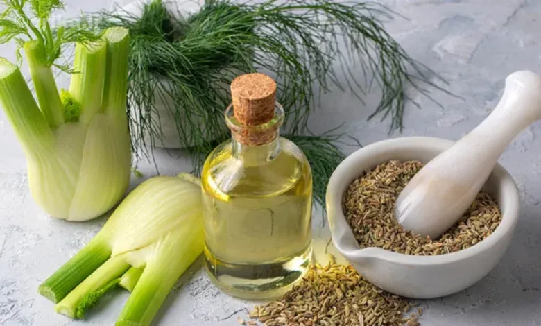 رازیانه گیاه دارویی