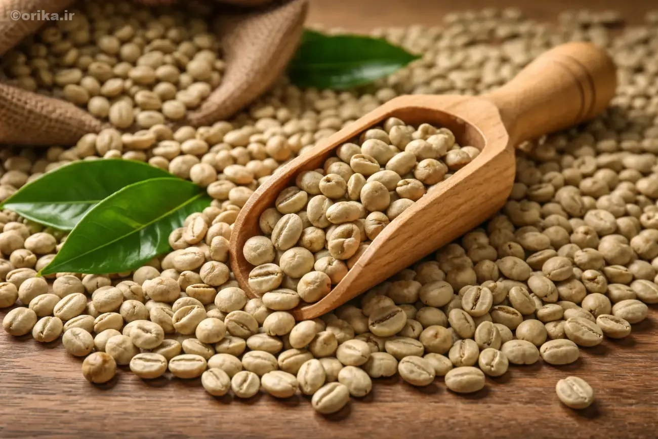 نگاهی علمی به دان سبز قهوه و تفاوت آن با قهوه رُست شده