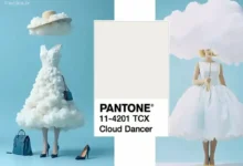 رنگ سال ۲۰۲۶ چیست؟