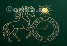 سال ۱۴۰۵ چه حیوانی است؟