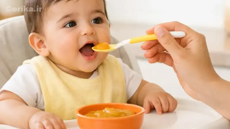 غذای کمکی نوزاد 6 ماهه چیست؟