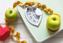 انواع رژیم سیب