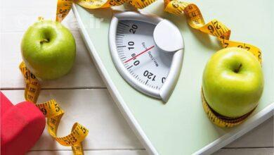 انواع رژیم سیب