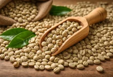 نگاهی علمی به دان سبز قهوه